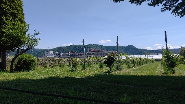 f:id:binju1202:20230520132526j:image