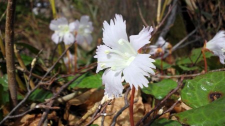 f:id:binzui:20120429143522j:image