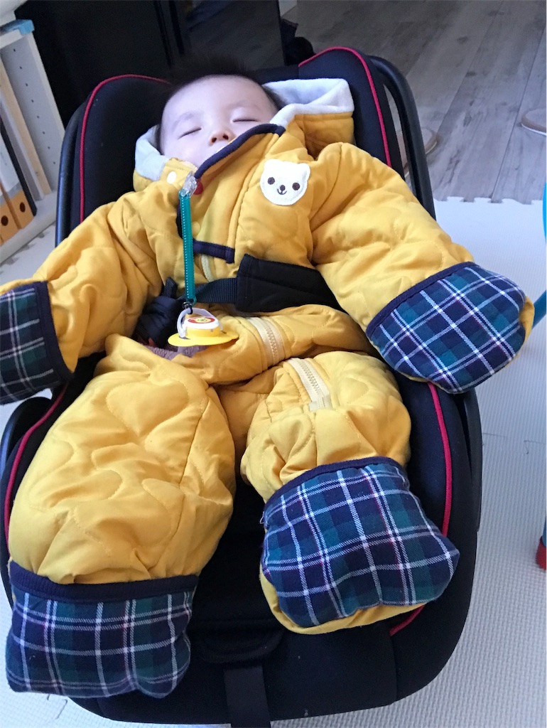 f:id:bio-kaoru-hazard132:20190107142131j:image f:id:bio-kaoru-hazard132:20190107142131j:image