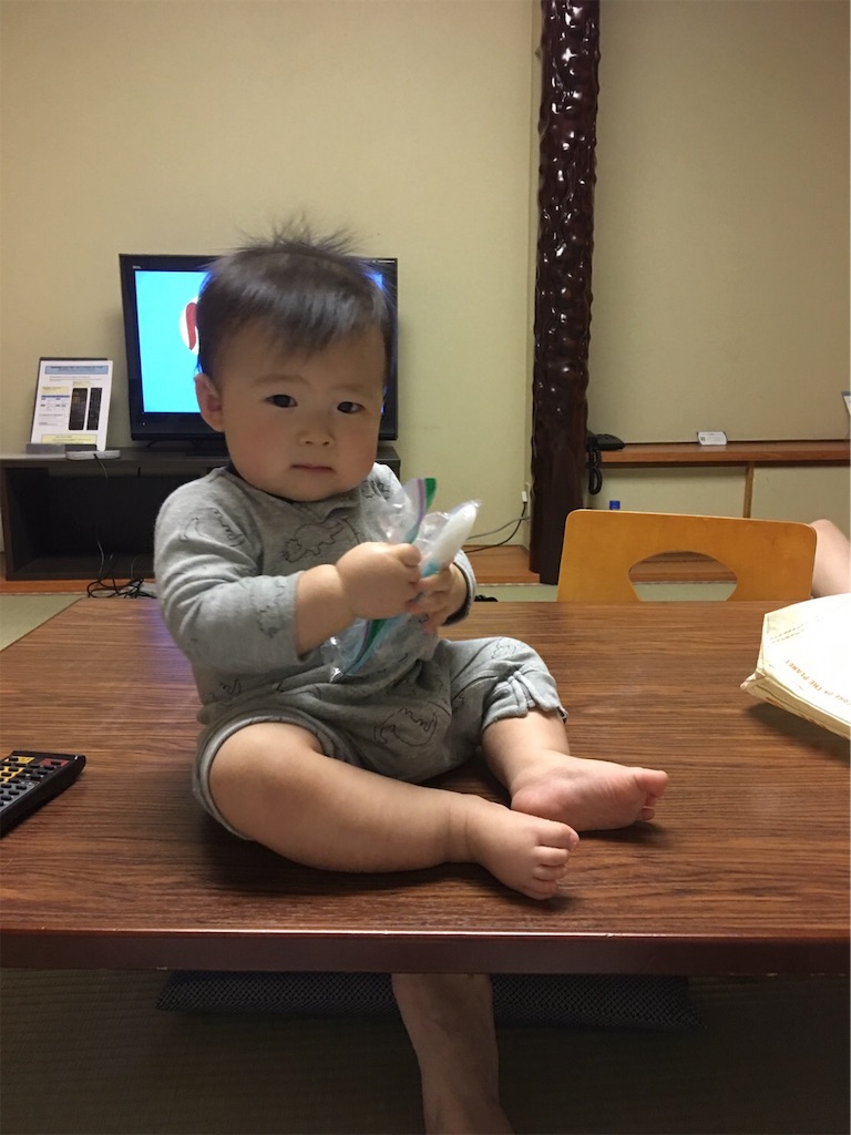 f:id:bio-kaoru-hazard132:20190413193414j:image