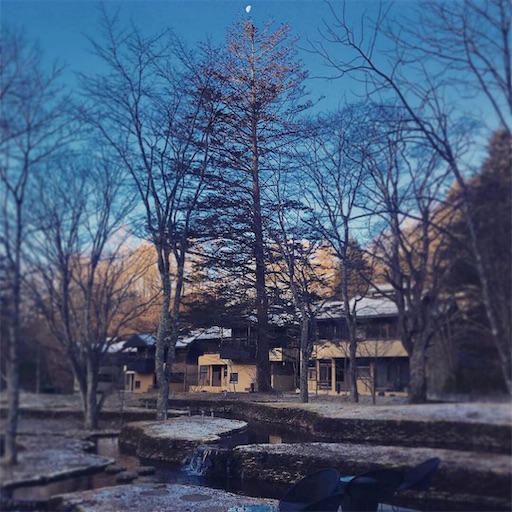 f:id:bio-life:20181228234038j:image f:id:bio-life:20181228234038j:image