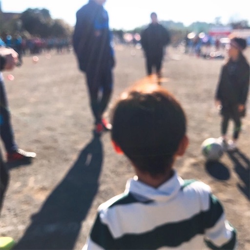 f:id:bio-life:20190103210218j:image f:id:bio-life:20190103210218j:image