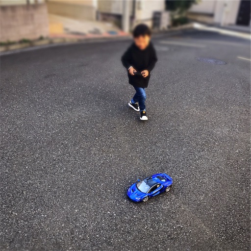 f:id:bio-life:20190204212853j:image f:id:bio-life:20190204212853j:image