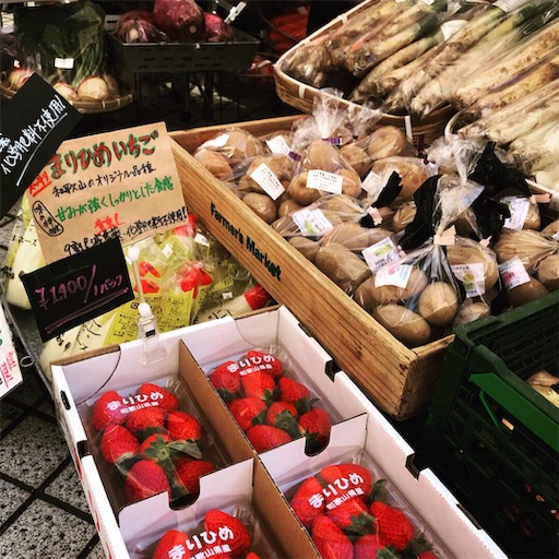 f:id:bio-life:20190216210127j:image f:id:bio-life:20190216210127j:image