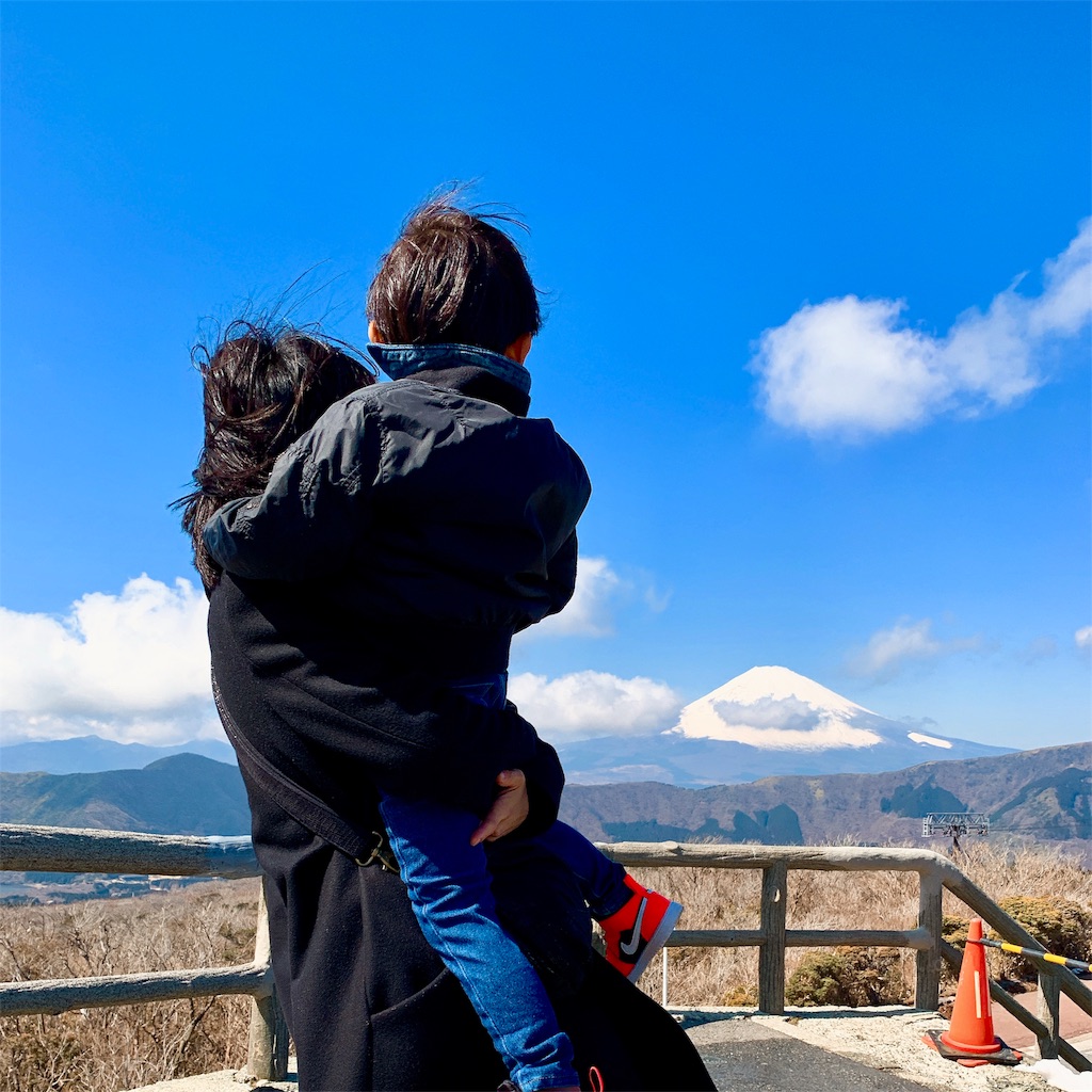 f:id:bio-life:20190310200107j:image f:id:bio-life:20190310200107j:image