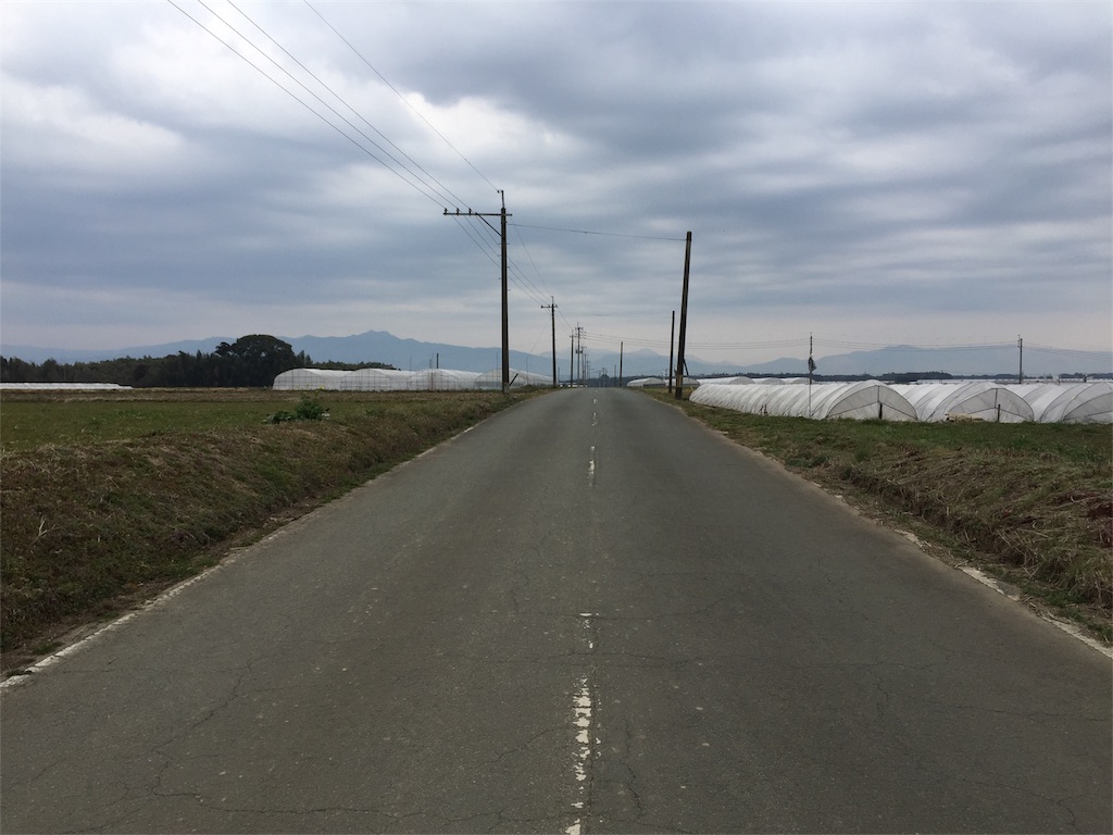 f:id:bio-log:20170301115122j:image