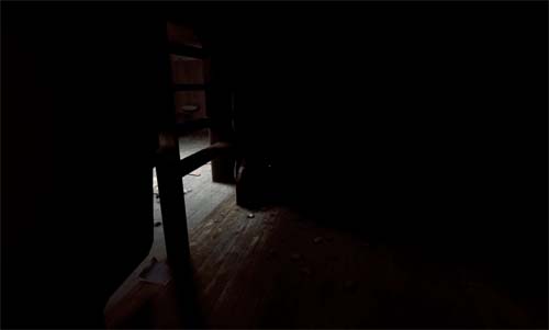 f:id:bio-re-love:20170519160508j:plain f:id:bio-re-love:20170519160508j:plain