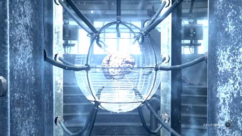 f:id:bio-re-love:20170829101738j:plain