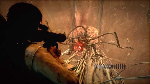 f:id:bio-re-love:20171010165049j:plain f:id:bio-re-love:20171010165049j:plain