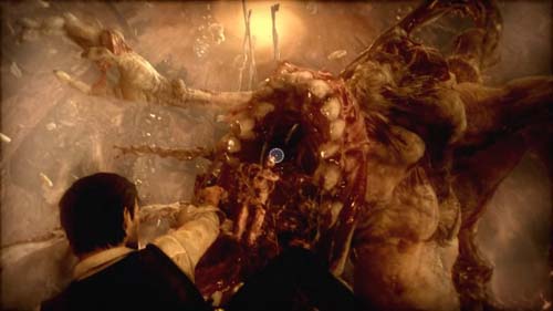 f:id:bio-re-love:20171010165207j:plain f:id:bio-re-love:20171010165207j:plain