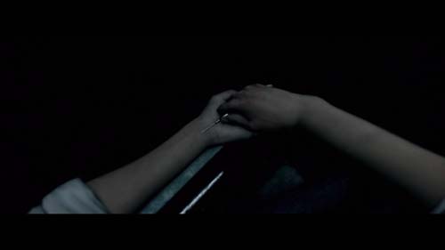 f:id:bio-re-love:20171013160927j:plain