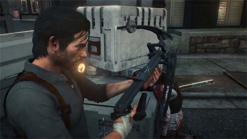 f:id:bio-re-love:20171025142019j:plain