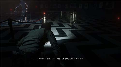 f:id:bio-re-love:20171106120700j:plain