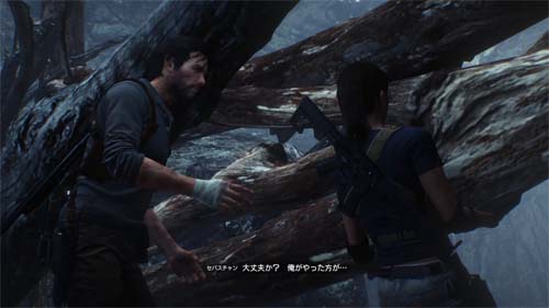 f:id:bio-re-love:20171118154526j:plain