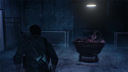 f:id:bio-re-love:20171126145831j:plain f:id:bio-re-love:20171126145831j:plain