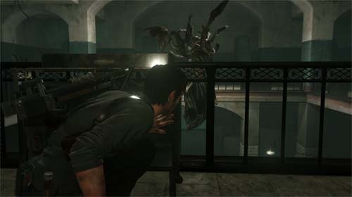 f:id:bio-re-love:20171126145856j:plain f:id:bio-re-love:20171126145856j:plain