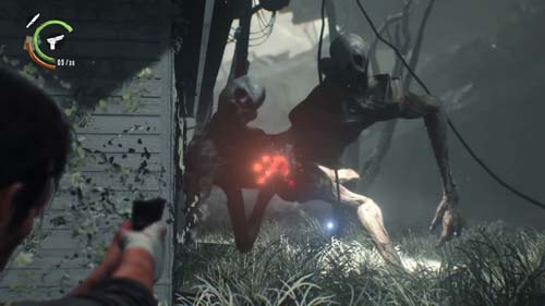 f:id:bio-re-love:20171228193302j:plain