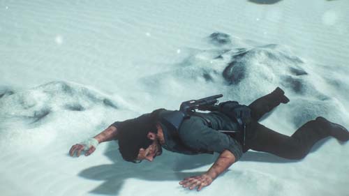 f:id:bio-re-love:20171228193413j:plain