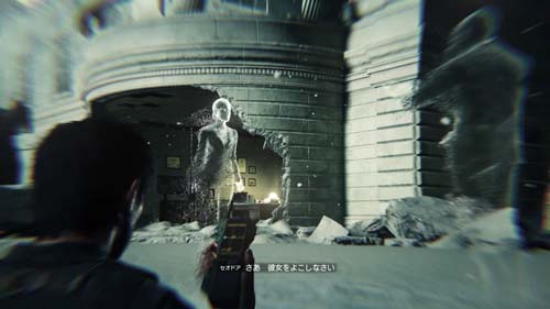 f:id:bio-re-love:20171228193526j:plain