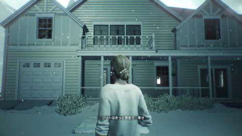 f:id:bio-re-love:20171228193833j:plain