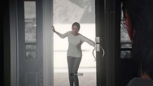 f:id:bio-re-love:20171230115841j:plain