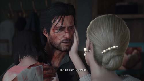 f:id:bio-re-love:20171230115920j:plain