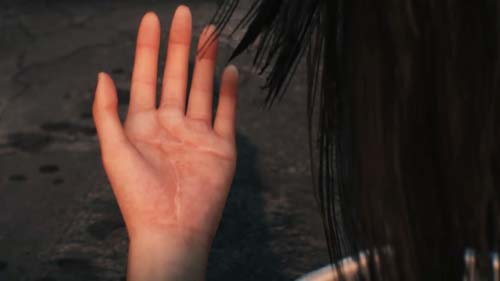 f:id:bio-re-love:20171230120859j:plain