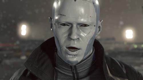 f:id:bio-re-love:20180617123008j:plain