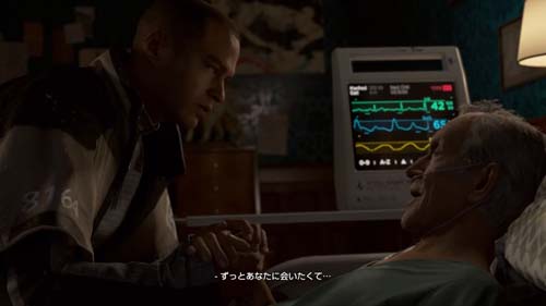 f:id:bio-re-love:20180617172558j:plain