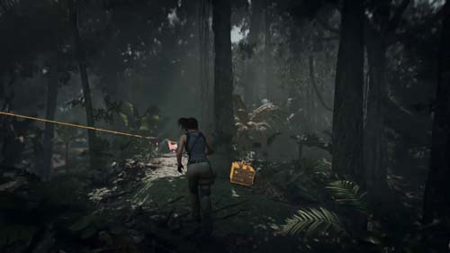 f:id:bio-re-love:20180924230347j:plain f:id:bio-re-love:20180924230347j:plain