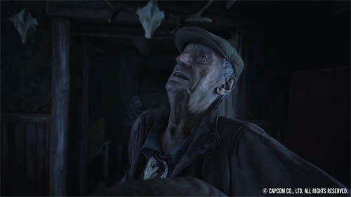 f:id:bio-re-love:20200619174758j:plain