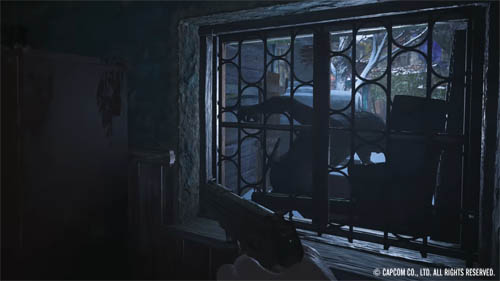 f:id:bio-re-love:20200619174815j:plain