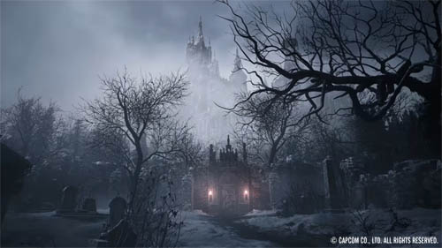 f:id:bio-re-love:20200619174847j:plain