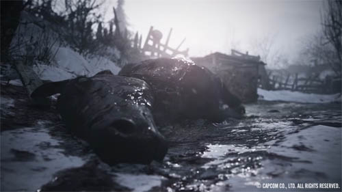 f:id:bio-re-love:20200619182514j:plain