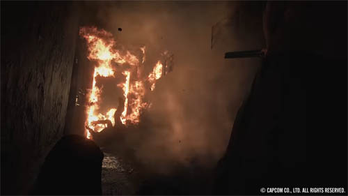 f:id:bio-re-love:20200619182905j:plain