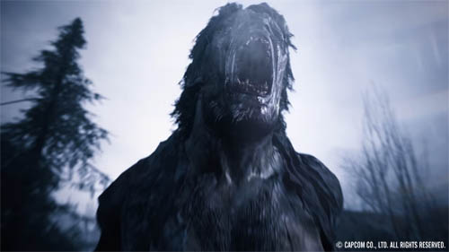 f:id:bio-re-love:20200619183133j:plain