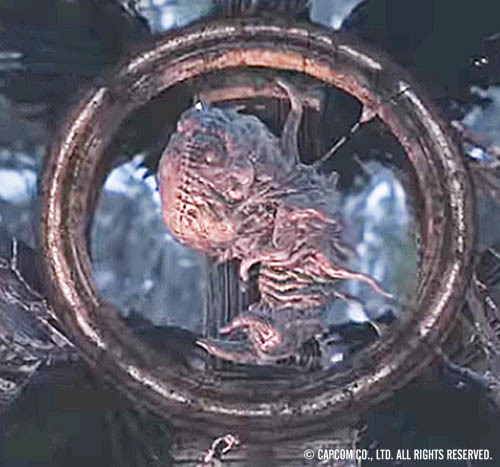 f:id:bio-re-love:20200621200530j:plain