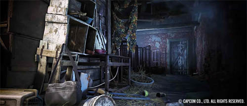 f:id:bio-re-love:20200621200625j:plain