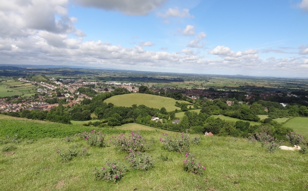 f:id:biobio33:20170724163014j:plain