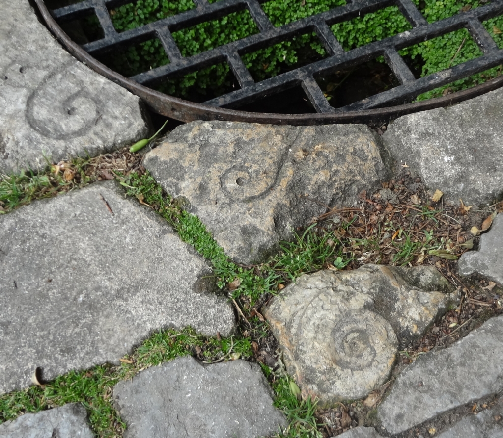 f:id:biobio33:20170730230854j:plain