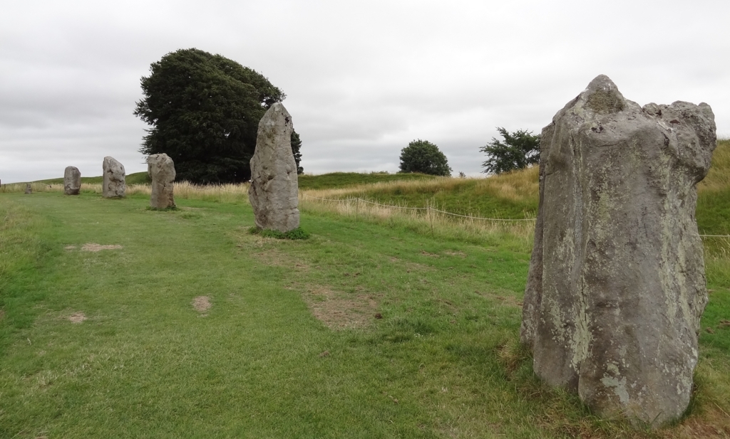 f:id:biobio33:20170731112423j:plain