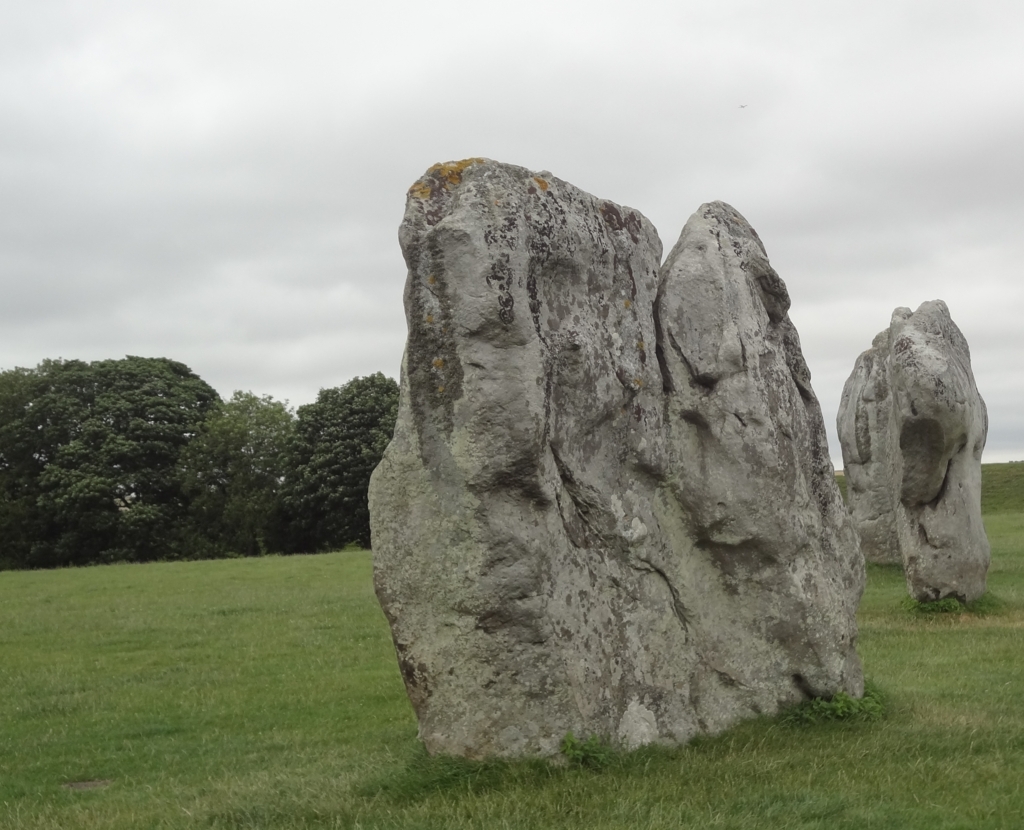 f:id:biobio33:20170731112522j:plain