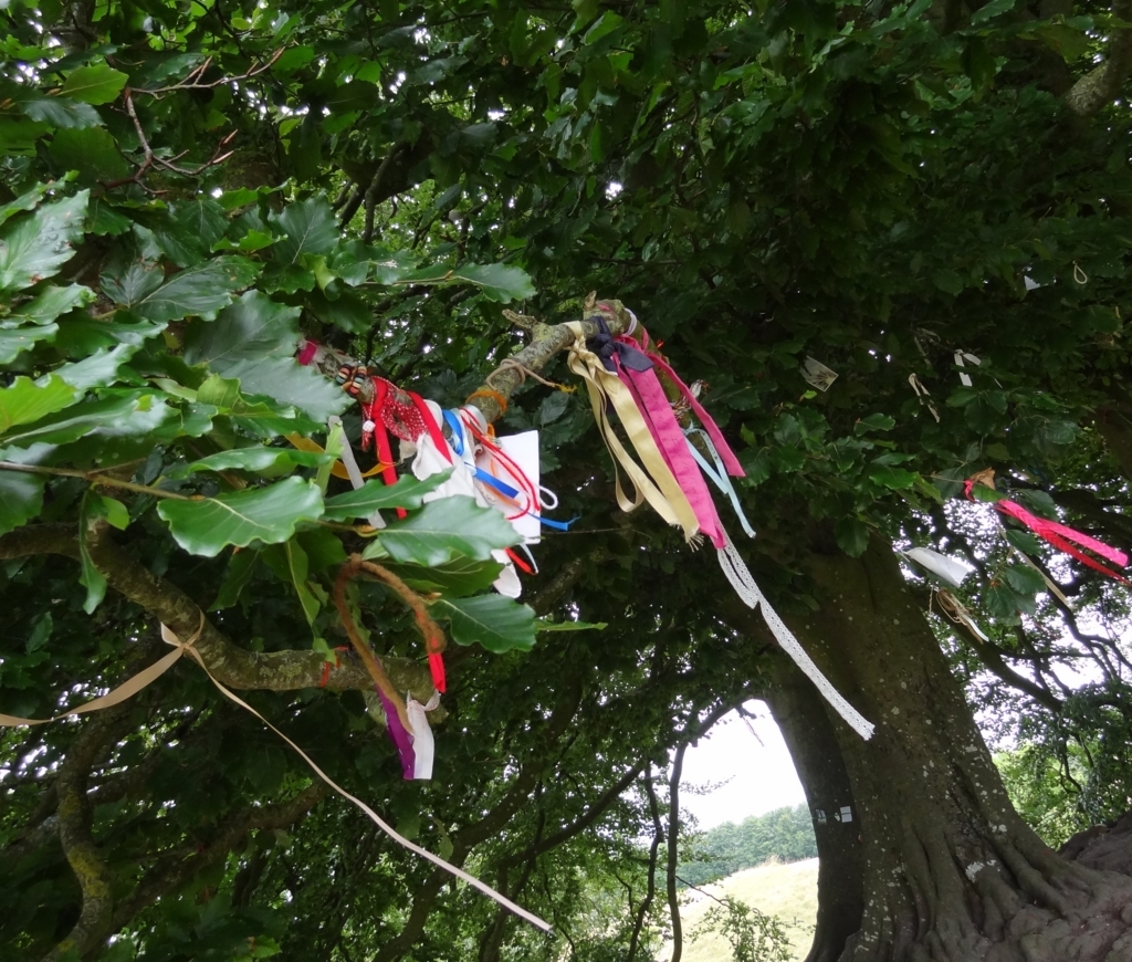 f:id:biobio33:20170731112615j:plain