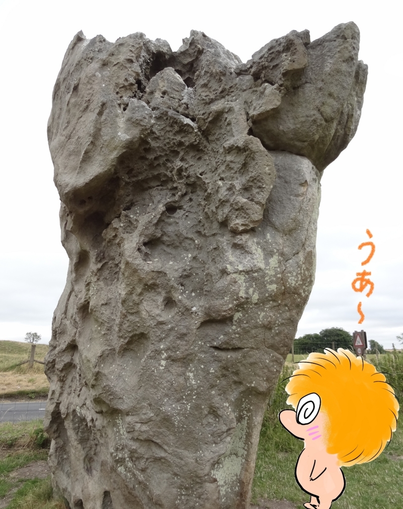 f:id:biobio33:20170801001355j:plain