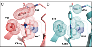 f:id:biocchi:20201220224657p:plain