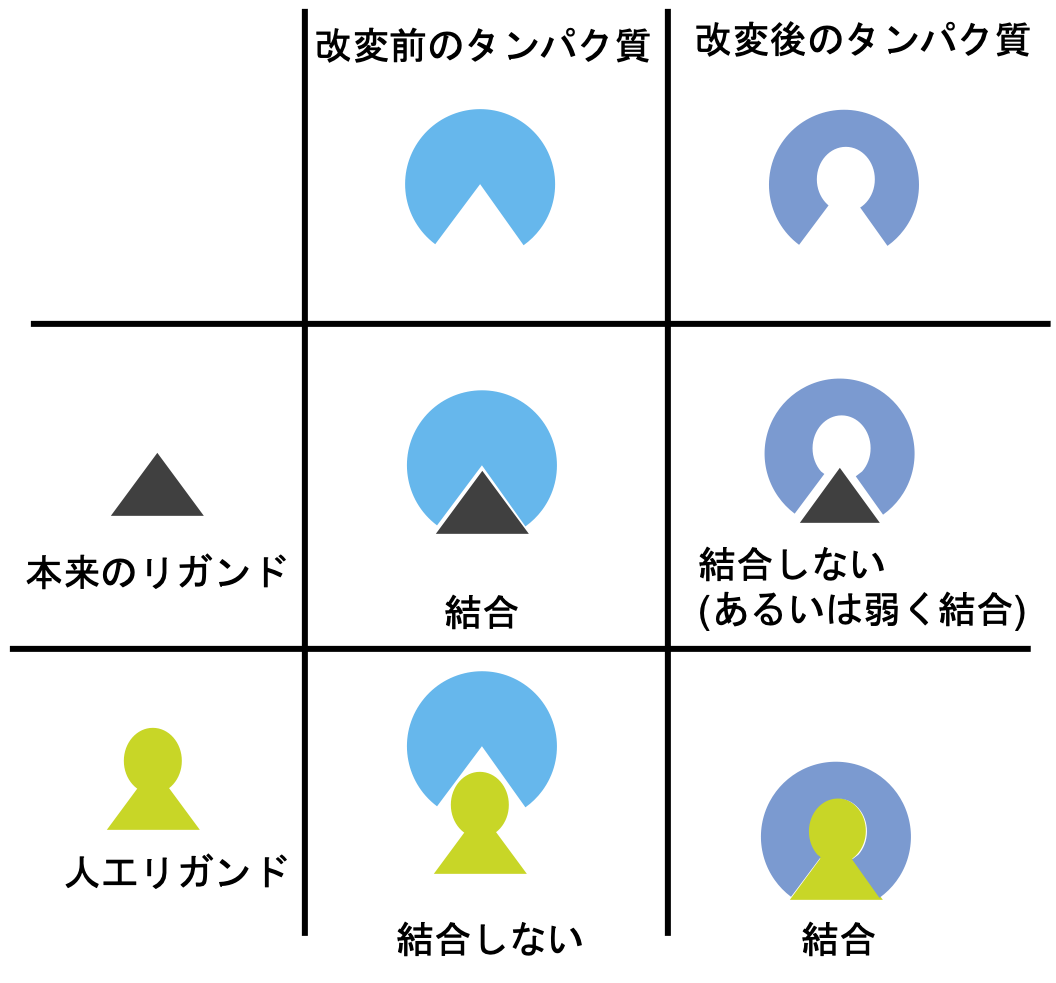 f:id:biocchi:20201221131301p:plain