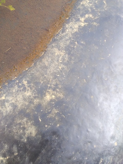 f:id:biokoo:20200804165156j:image f:id:biokoo:20200804165156j:image