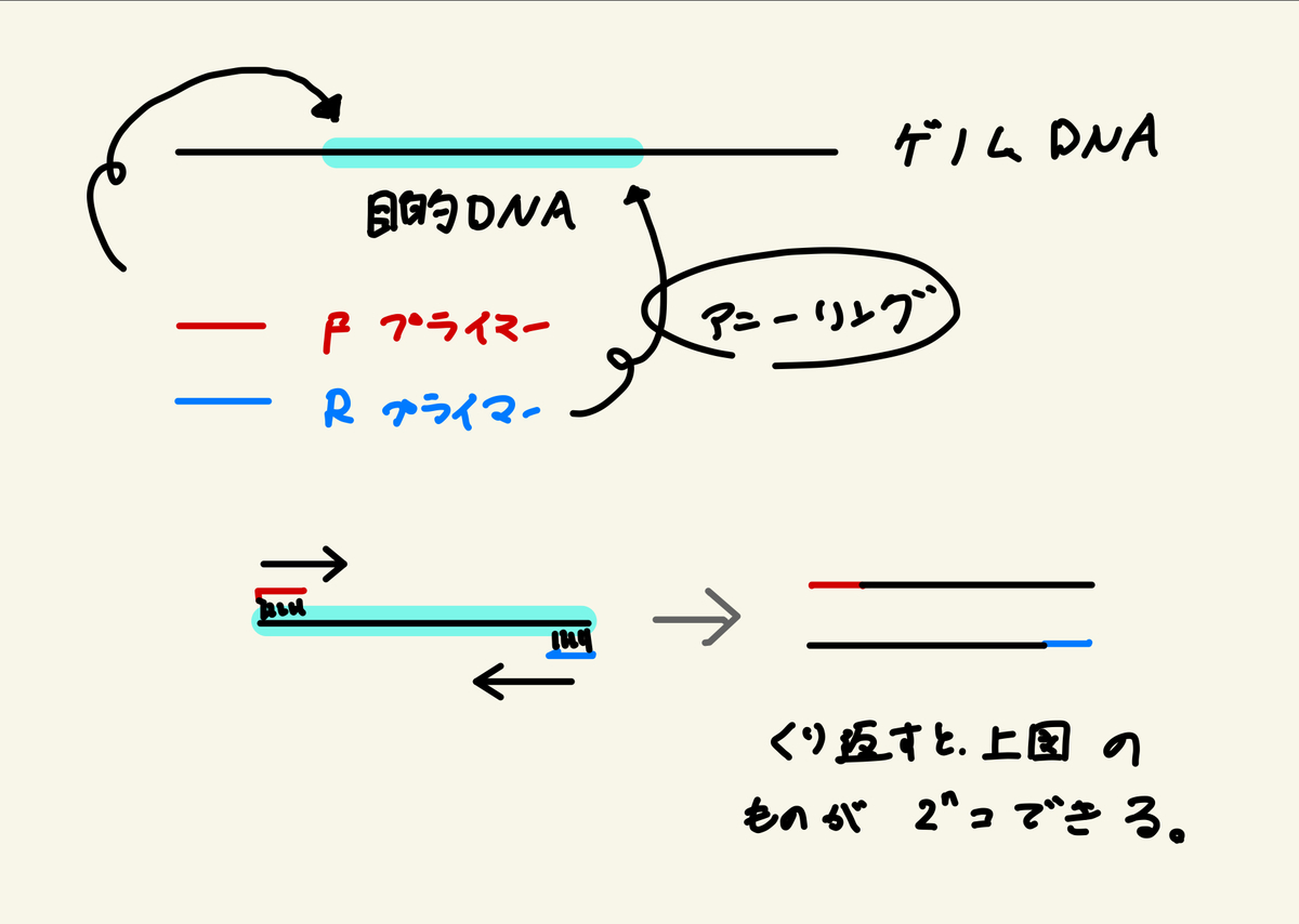f:id:biolab:20200415204730j:plain f:id:biolab:20200415204730j:plain