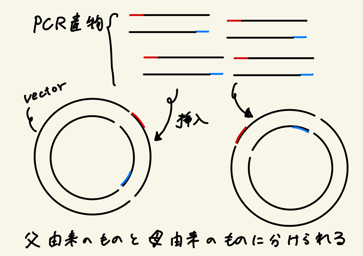 f:id:biolab:20200415204833j:plain f:id:biolab:20200415204833j:plain