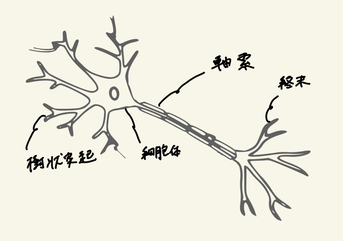 f:id:biolab:20200423185654j:plain f:id:biolab:20200423185654j:plain